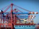 maersk warns 25% drop in shipping