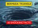 Bermuda Triangle facts