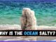 Why is the ocean salty