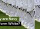 Why are Navy uniforms white? All you need to know