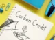 carbon credits explained